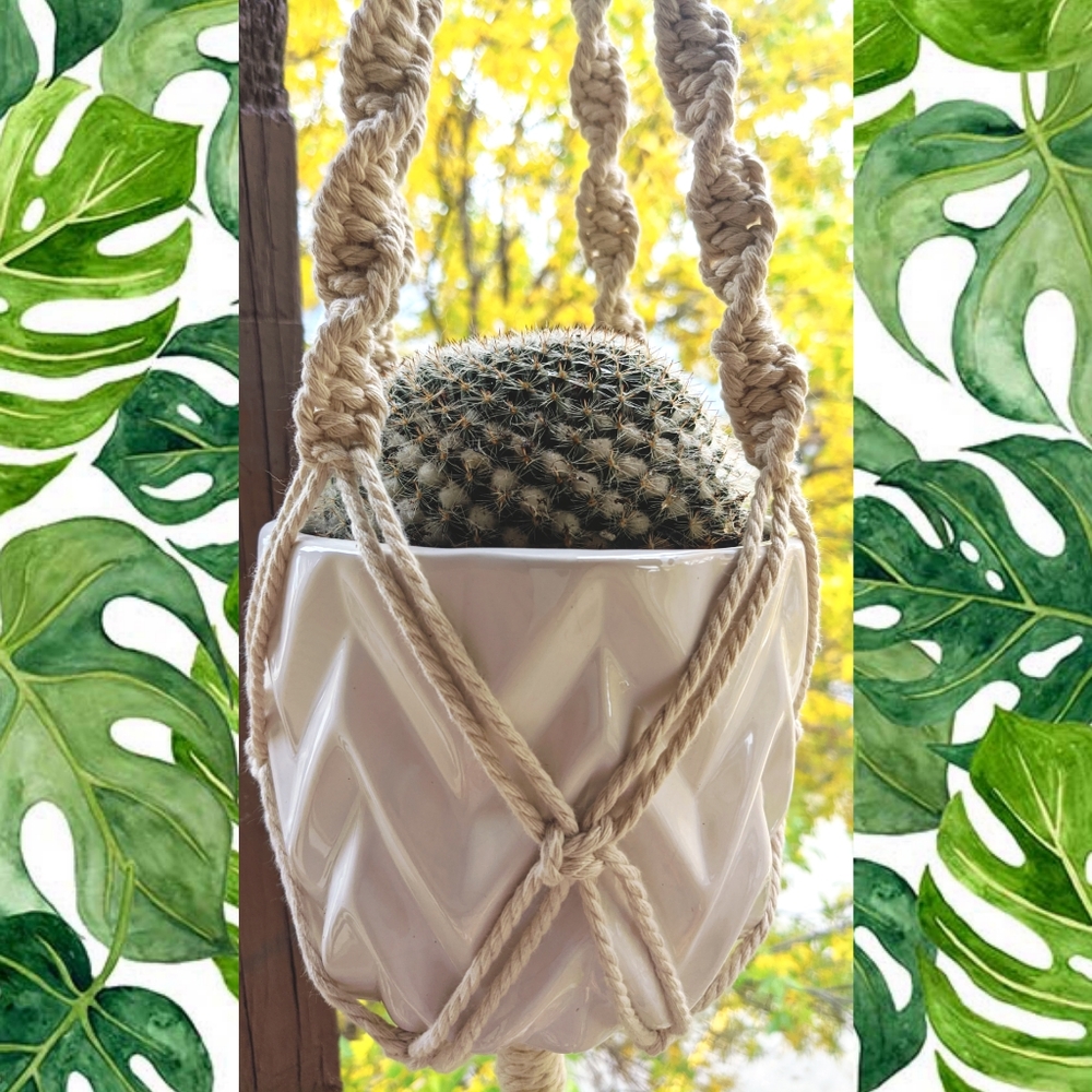 Spiral Plant Hanger